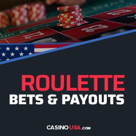 Roulette Bets Explained: Payouts & Visual Examples .